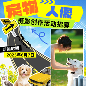 common/upload/2025/06/06/224727a0.png